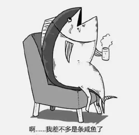 佛系青年摆烂青年什么意思,丧文化佛系文化