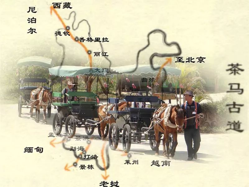 90年代易武茶十大标杆普洱茶,易武贡茶的历史