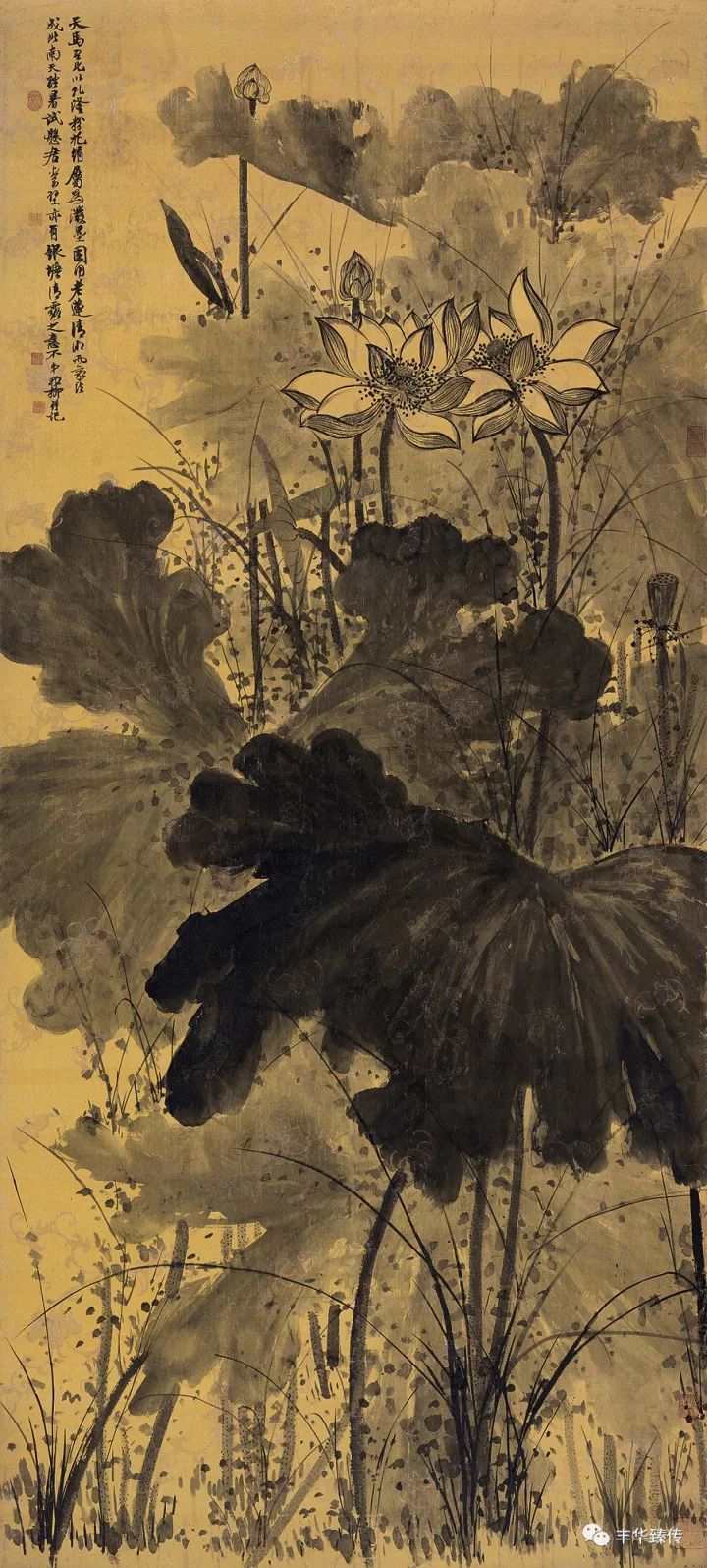 中国嘉德藏家回顾展,中国嘉德拍卖会过亿