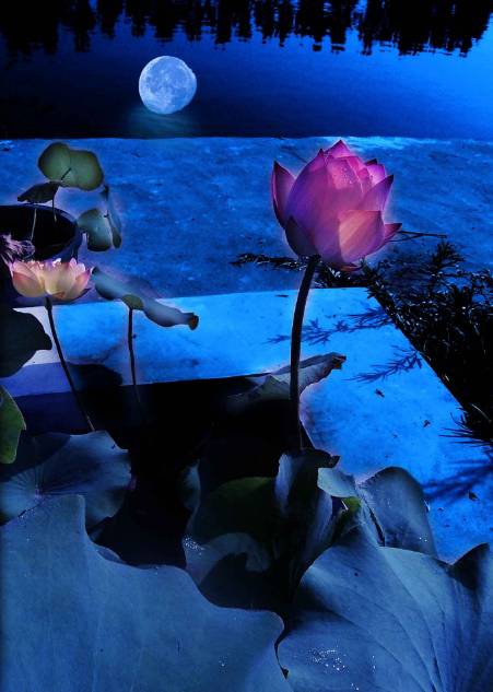 黄正华诗词,黄正华经典诗词