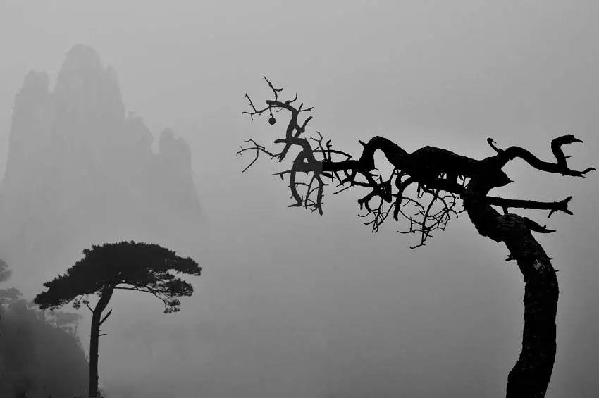 黄正华诗词,黄正华经典诗词