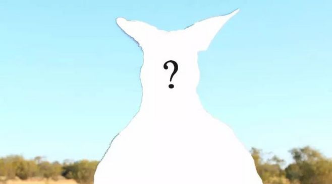 “丫”不仅是知名拳击手，还是个强x犯！