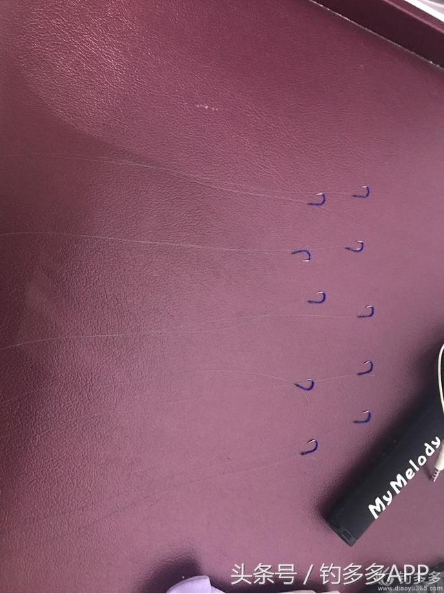 新手钓鱼一学就会,学钓鱼没点狠劲还真不行