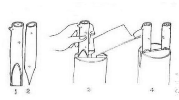 树状月季怎么嫁接视频,树状月季怎样嫁接及嫁接后管理