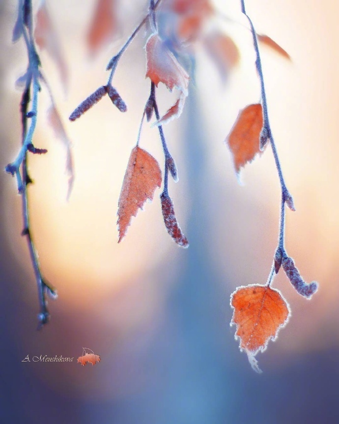 栗子姐情感专访,栗子姐每日情感问答视频