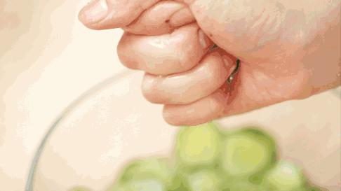 酸奶拌青瓜,两伴