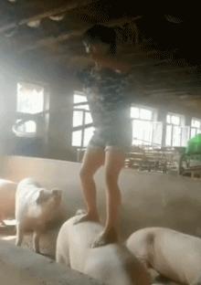 跑步机当跑得很快时怎么关掉,跑步机跑到一定速度打滑