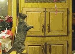 跑步机当跑得很快时怎么关掉,跑步机跑到一定速度打滑