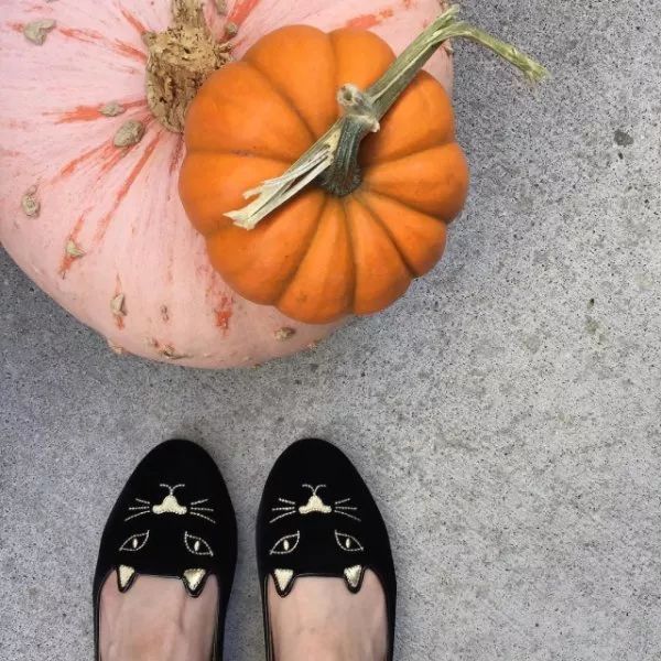 看到这些大牌新出的农历狗年限量款，我笑出了猪叫……