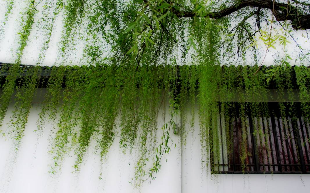 黄正华诗词,黄正华经典诗词