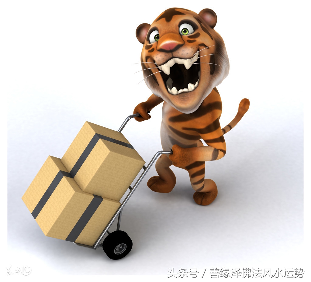 十二生肖今年的财运和运势如何啊,2018生肖财运大解析