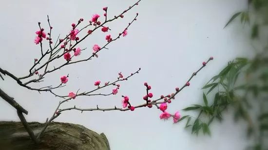 黄正华诗词,黄正华经典诗词