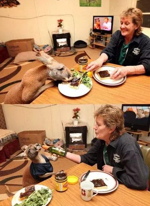 “丫”不仅是知名拳击手，还是个强x犯！