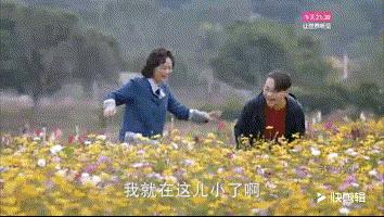 买菜要记账，长辈见面就催婚，这应该是我看过最接地气的电视剧