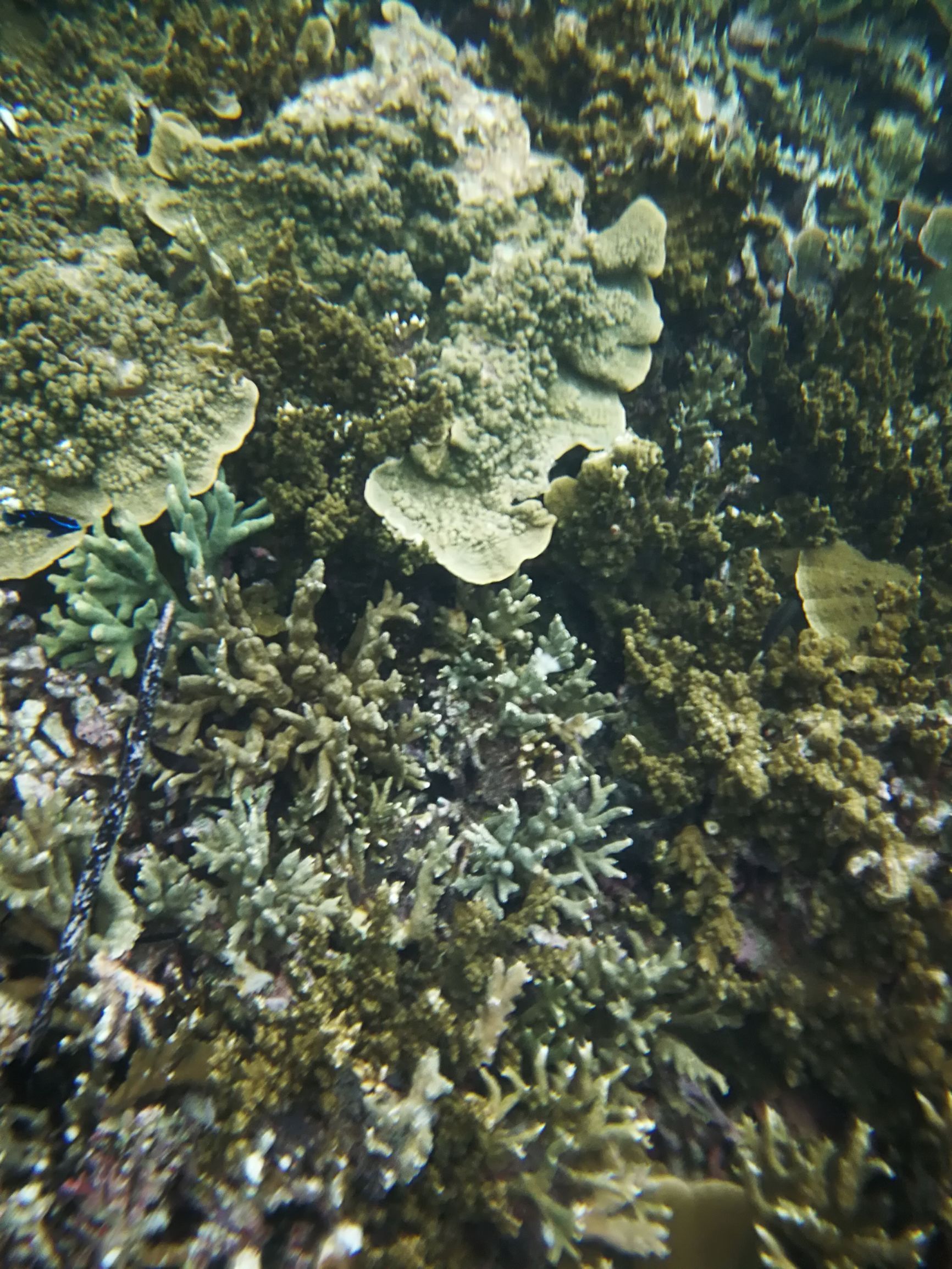 沙巴自由行超详细攻略,第一次去沙巴订的酒店怎么样