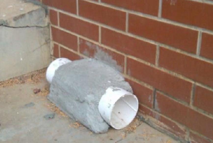 养殖场铺石子防鼠,养殖场驱鼠技术