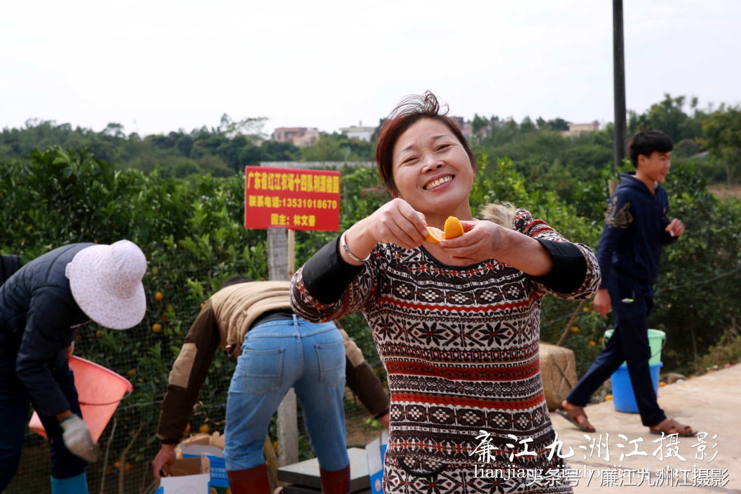 廉江摘橙子旅游,廉江摘橙子一日游攻略