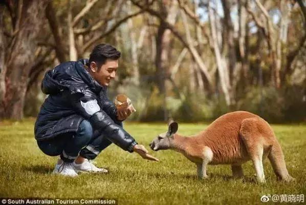 黄晓明南澳岛,黄晓明旅游