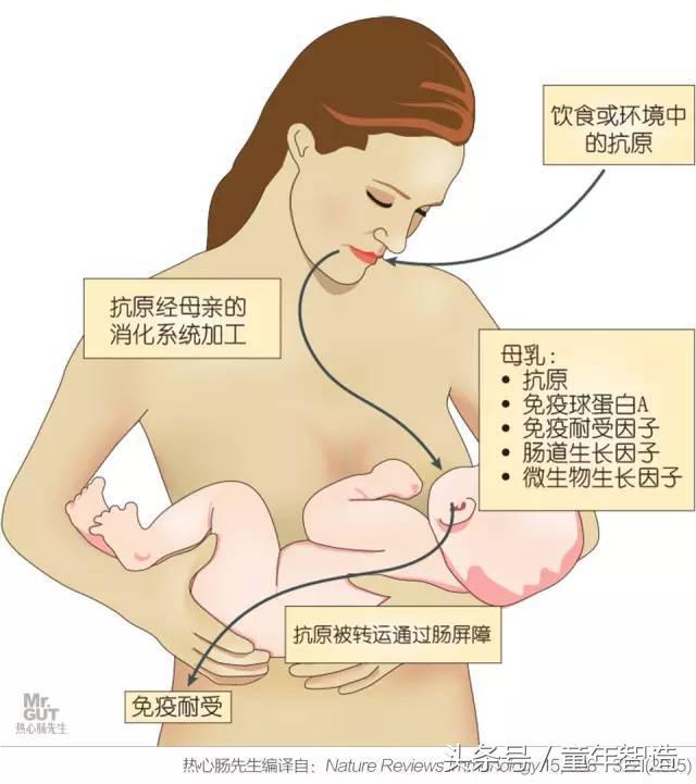 科学养娃真的科学么,科学有用常识小知识