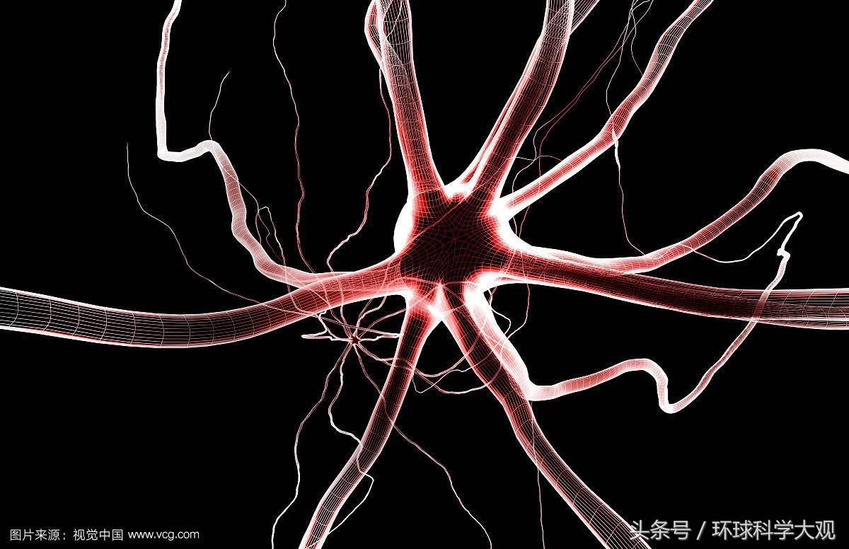 自闭症新药新突破,未来10-20年有望治愈的自闭症