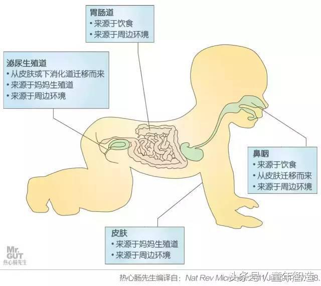 科学养娃真的科学么,科学有用常识小知识