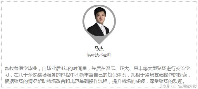 猪场发现丨自制小工具，让产房操作省心更省力