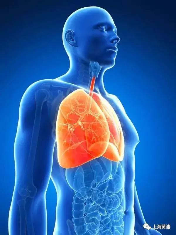 三伏贴治过敏性咳喘贴哪个穴位,三伏贴治哮喘贴什么穴位