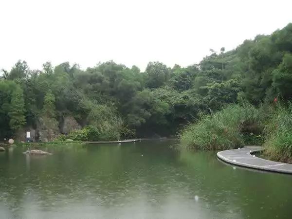 那些隐蔽的世外桃源,深圳世外桃源位置