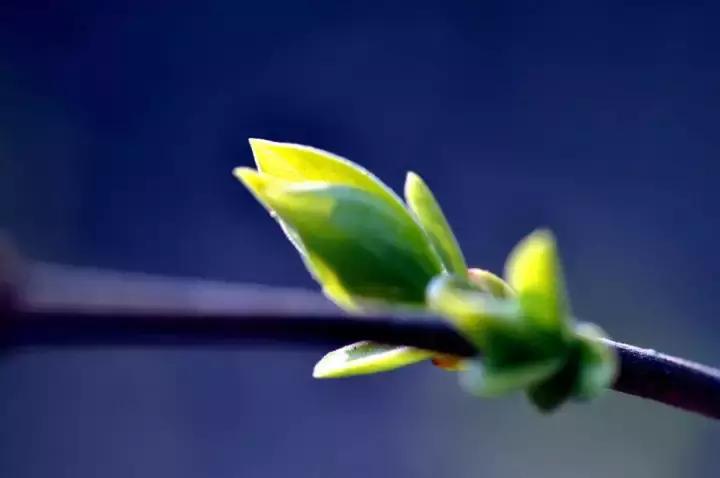 创业初期如何做到稳定盈利,创业起步八种盈利模式