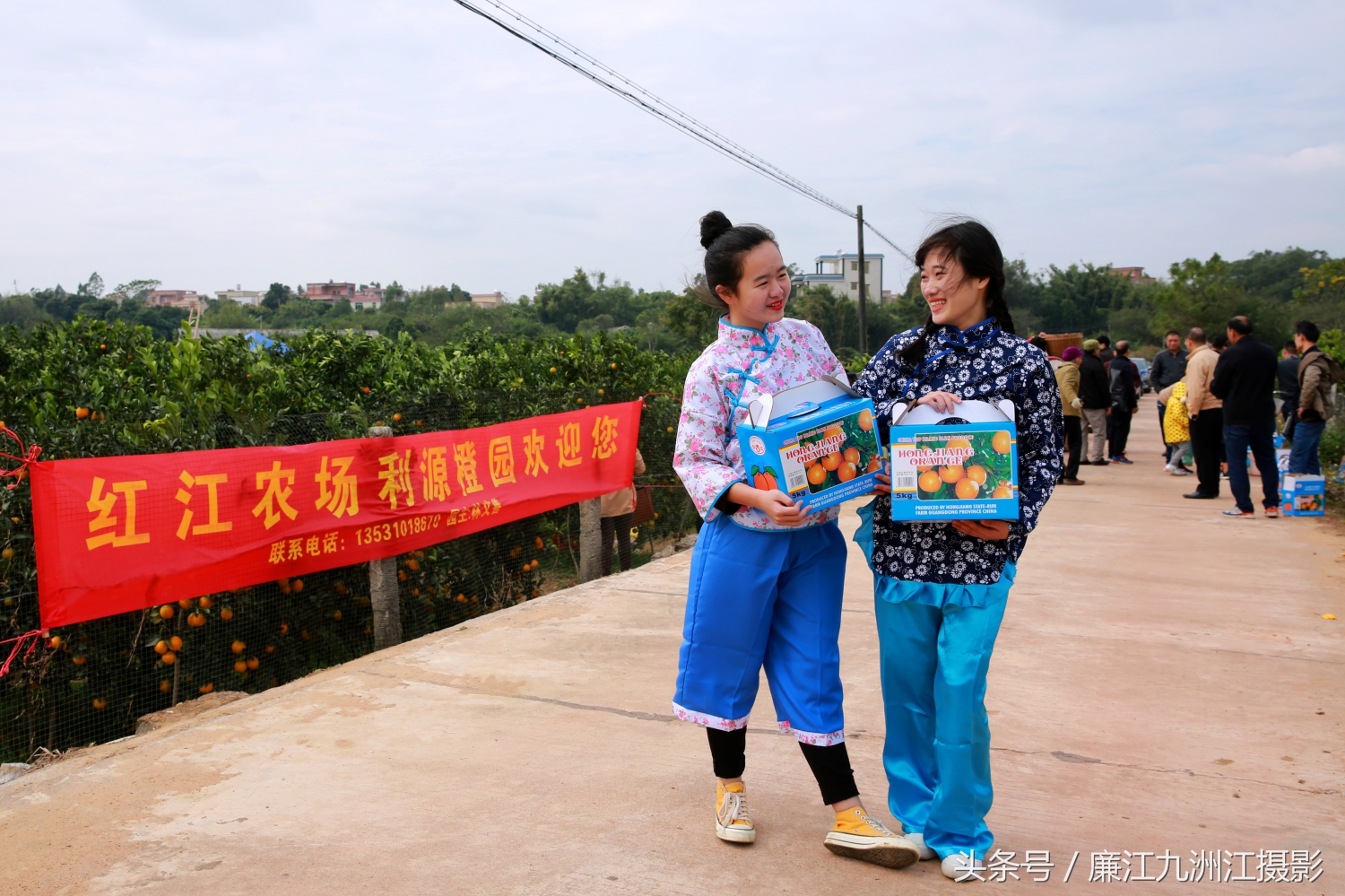 廉江摘橙子旅游,廉江摘橙子一日游攻略