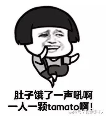 平板appleid忘记密码怎么办,平板appleid密码忘了怎么办