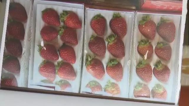 幼儿吃草莓后呕吐怎么办,孩子吃草莓呕吐怎么缓解