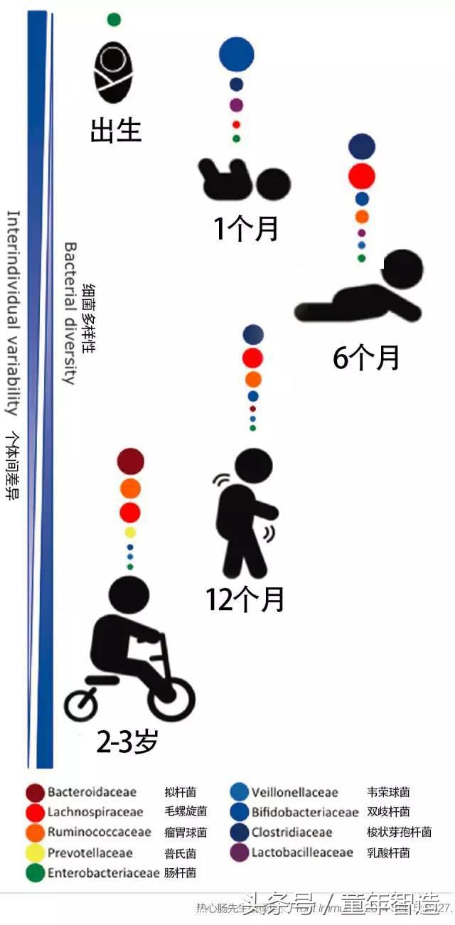 科学养娃真的科学么,科学有用常识小知识