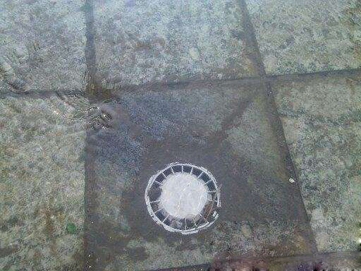 楼顶水管堵了被水泥堵塞怎么办,楼顶下水管堵塞