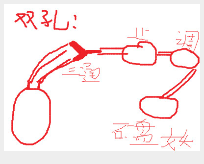 养鱼新手需要知道的一些事情,新手养鱼的10个忠告