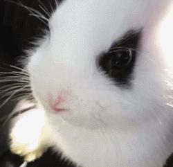 冬天这么冷就多互相温暖吧,冬天这么冷我们互相取暖