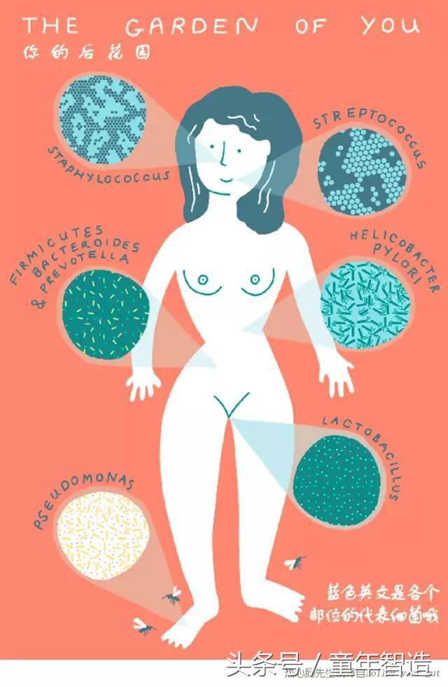 科学养娃真的科学么,科学有用常识小知识