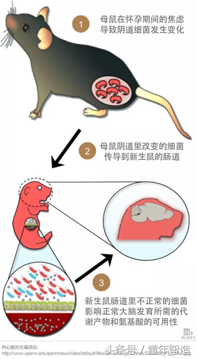 科学养娃真的科学么,科学有用常识小知识