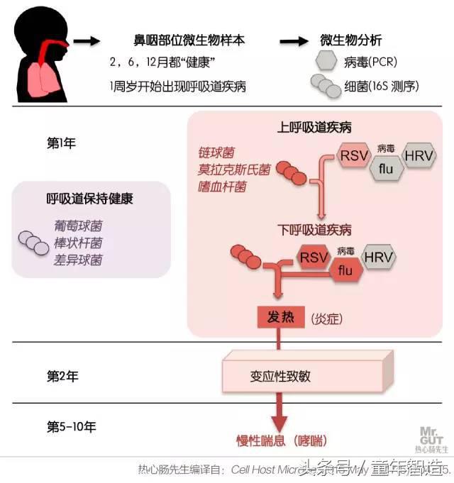 科学养娃真的科学么,科学有用常识小知识