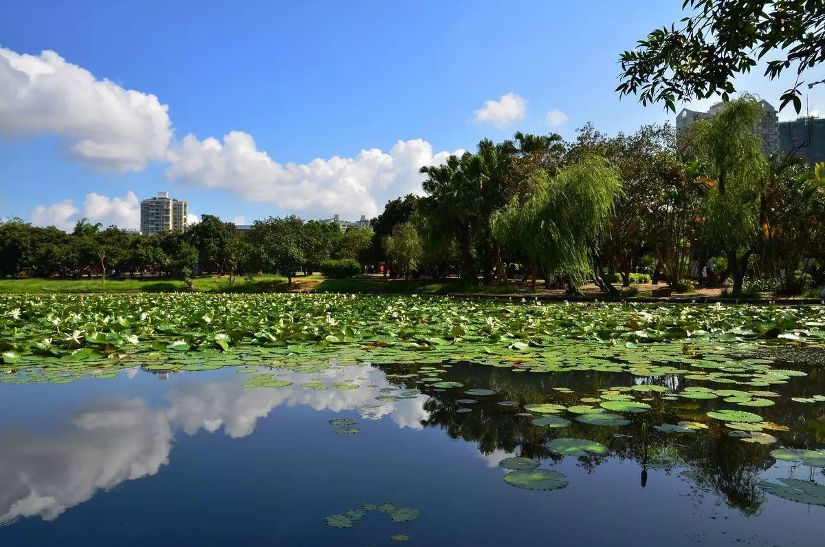 那些隐蔽的世外桃源,深圳世外桃源位置