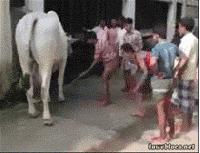 教你如何区分真假牛皮包包,包包怎么区分真皮还是假皮