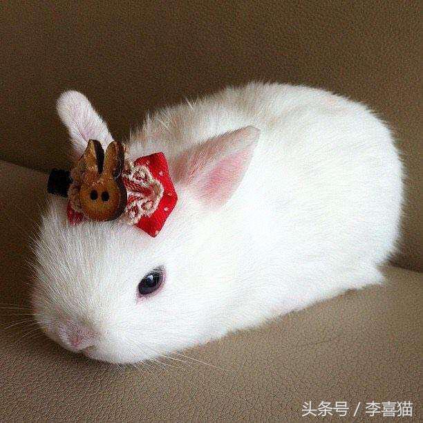 冬天这么冷就多互相温暖吧,冬天这么冷我们互相取暖