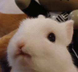 冬天这么冷就多互相温暖吧,冬天这么冷我们互相取暖