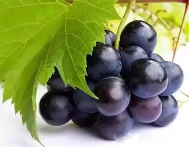 幼儿吃草莓后呕吐怎么办,孩子吃草莓呕吐怎么缓解