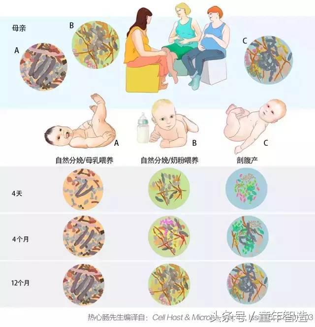 科学养娃真的科学么,科学有用常识小知识