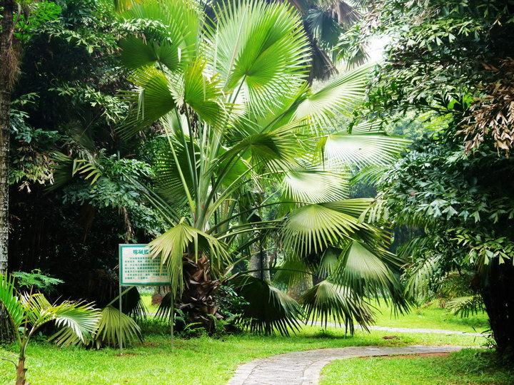 海南省儋州市，千年古郡，热带风情，名字不容易读对