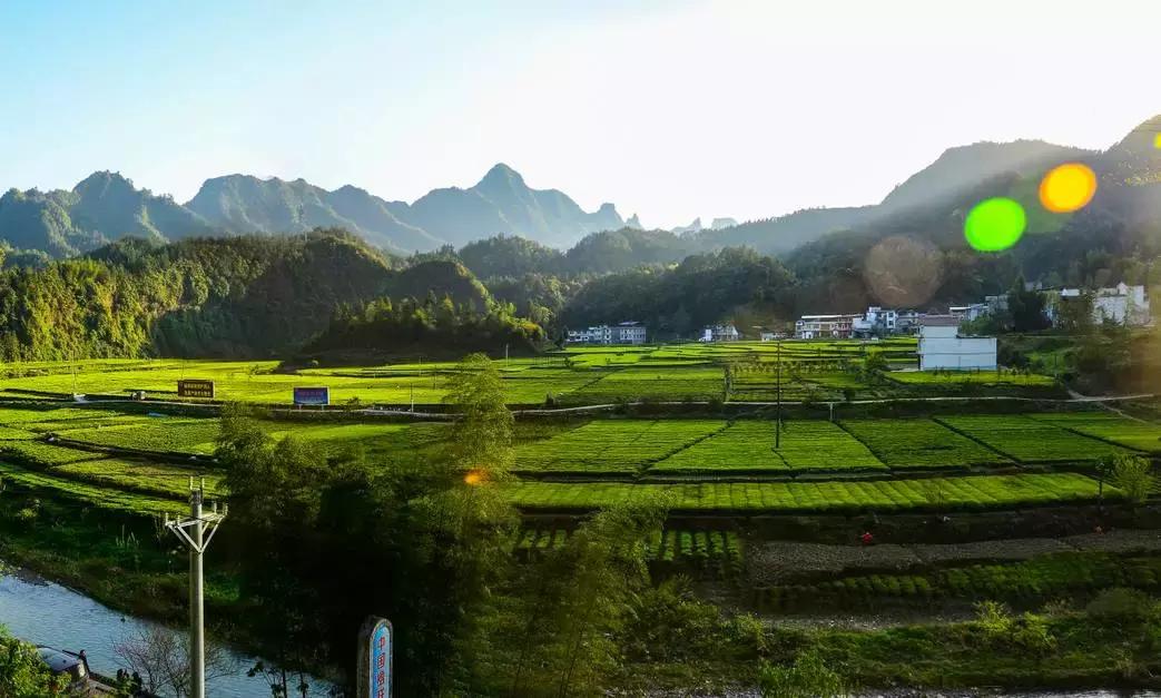 12月机票购买,12月低价机票