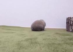 冬天这么冷就多互相温暖吧,冬天这么冷我们互相取暖