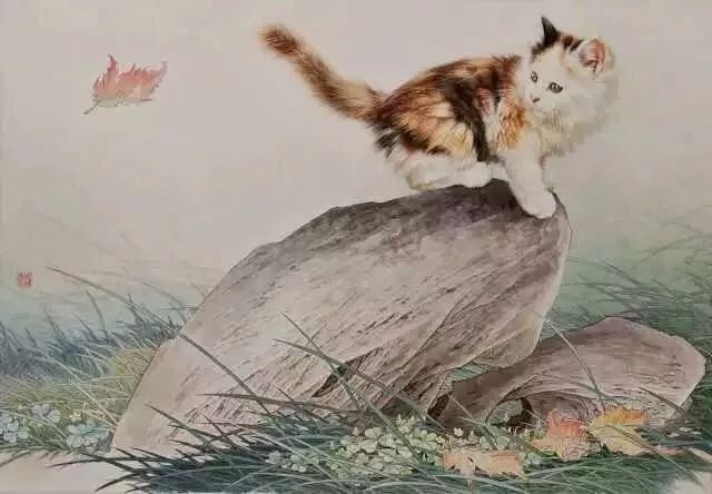 邢诚爱工笔猫扑蝶画法,邢诚爱工笔画猫白描底稿