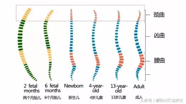 高枕无忧的道理,高枕无忧医学解释
